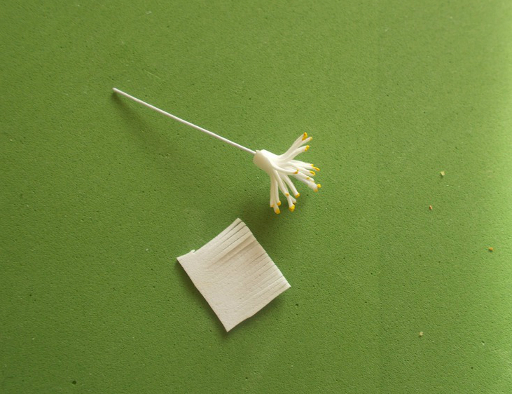 Flores espumiranas para patrones topiarios. El tulipán de espuma. Lily de foamirana.