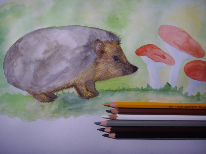 Ouriço orelhudo desenhar com um lápis. Nós desenhamos um ouriço com lápis