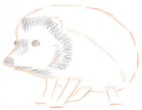 Ouriço orelhudo desenhar com um lápis. Nós desenhamos um ouriço com lápis