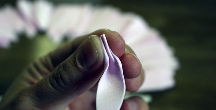 Flores espumiranas para patrones topiarios. El tulipán de espuma. Lily de foamirana.