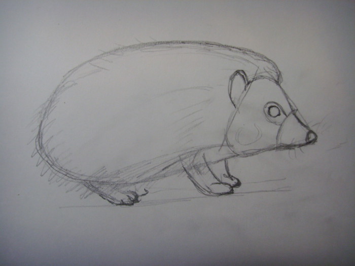 Ouriço orelhudo desenhar com um lápis. Nós desenhamos um ouriço com lápis