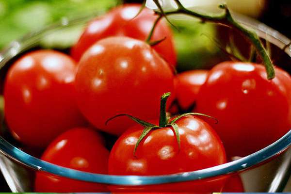 Por que não pode comer muitos tomates. Tomates: a quem são contra-indicados. Quando os tomates podem prejudicar o c