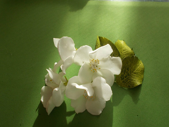 Flores espumiranas para patrones topiarios. El tulipán de espuma. Lily de foamirana.