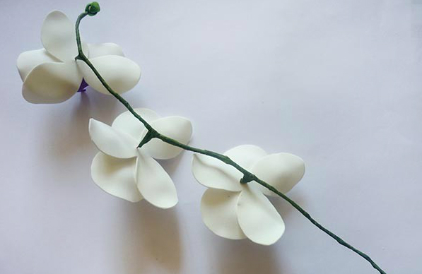 Flores espumiranas para patrones topiarios. El tulipán de espuma. Lily de foamirana.