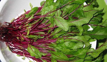 Comer remolacha cruda beneficia y perjudica. Los beneficios del jugo de remolacha. Remolacha con zanahorias — Woman