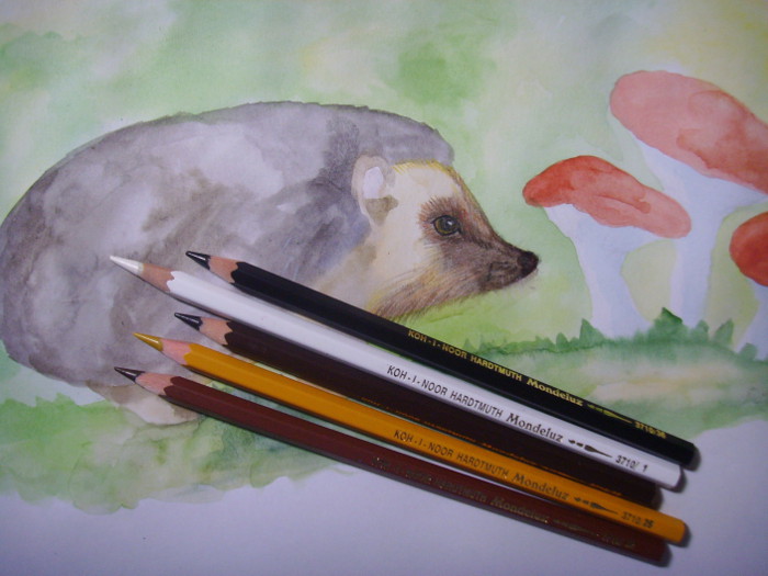 Ouriço orelhudo desenhar com um lápis. Nós desenhamos um ouriço com lápis