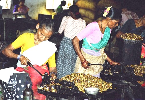 Cómo cultivar los anacardos. Donde crecen los anacardos ¿Cuáles son los beneficios de los anacardos? Propiedades ut