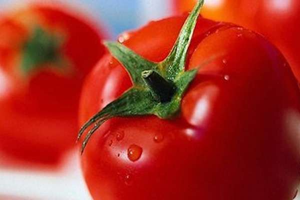 Por que não pode comer muitos tomates. Tomates: a quem são contra-indicados. Quando os tomates podem prejudicar o c