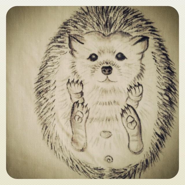 Ouriço orelhudo desenhar com um lápis. Nós desenhamos um ouriço com lápis