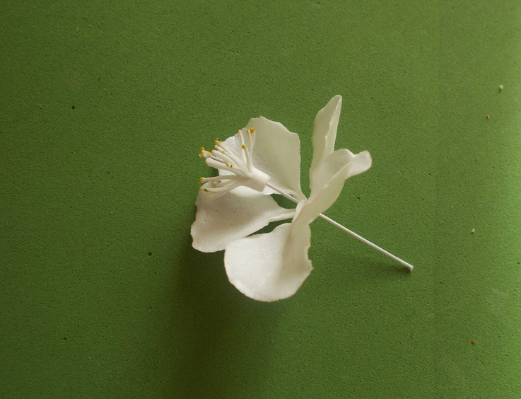 Flores espumiranas para patrones topiarios. El tulipán de espuma. Lily de foamirana.