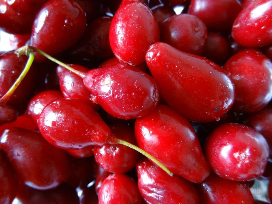 Lista de los alimentos más altos en calorías. Los alimentos más ricos en calorías.