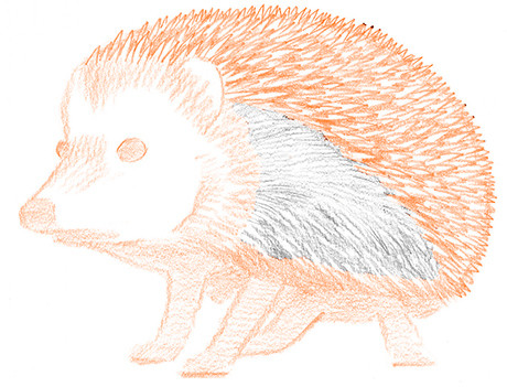 Ouriço orelhudo desenhar com um lápis. Nós desenhamos um ouriço com lápis
