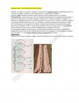 Шинэ төрсөн хүүхдэд зориулсан Dickey. Зүүг цамцан дээрээ янз бүрийн аргаар холбох