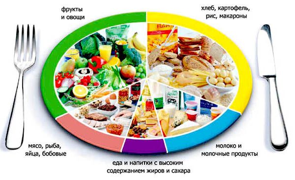 Колко калории в хранителните продукти. Калорично съдържание на продукти и готови билки.