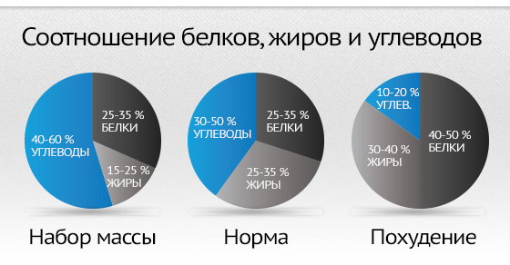 Скільки калорій дає 1 грам білка