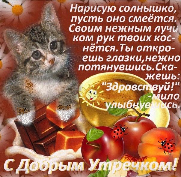 Желая на момичето да вдигне настроението. Sms любим мъж, съпруг. Sms любим мъж, съпругът й е кратък, забавен, за вд