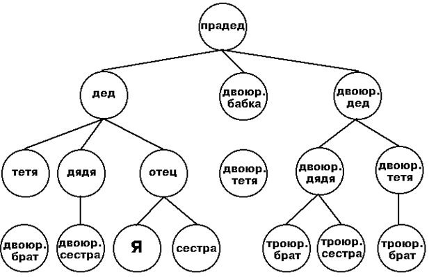 Проект малюємо родовідне дерево. Вчимося складати родовід і малювати генеалогічне древо.