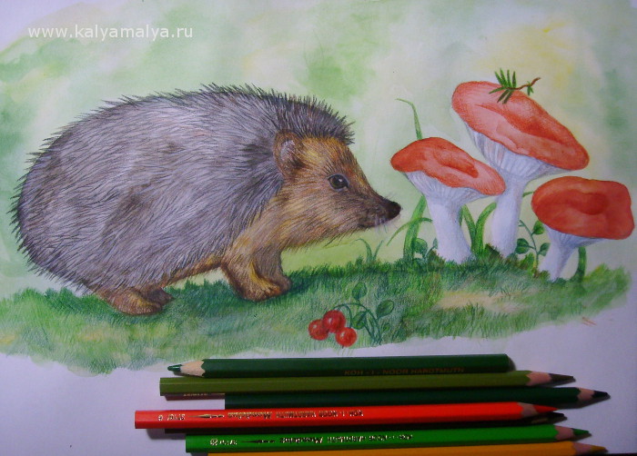 Ouriço orelhudo desenhar com um lápis. Nós desenhamos um ouriço com lápis