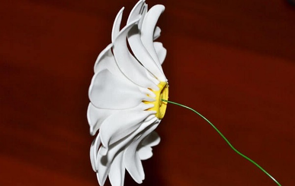 Flores espumiranas para patrones topiarios. El tulipán de espuma. Lily de foamirana.