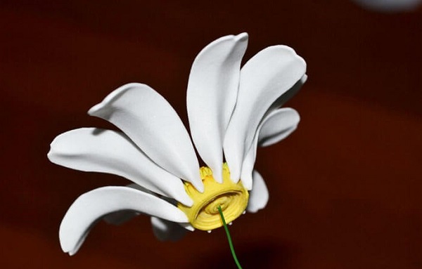 Flores espumiranas para patrones topiarios. El tulipán de espuma. Lily de foamirana.