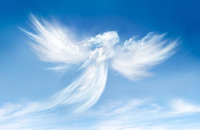 Хоёрдугаар сарын төрсөн эрэгтэй. Angel Day: Эмэгтэйчүүдийн нэр өдөр 2-р сард