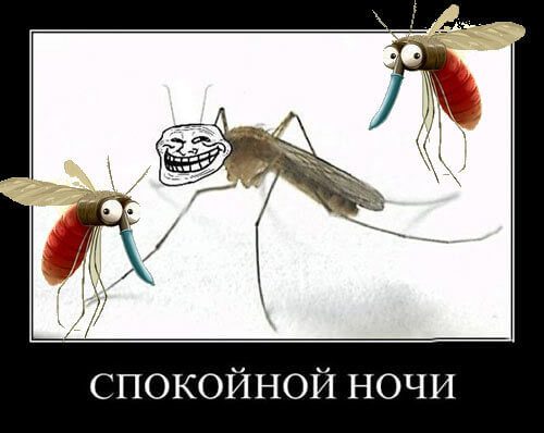 Арьсны архаг үрэвслийн эсрэг эмүүд Бохь хачиг нь хазуулсны дараа тэмцэх, эмчлэх арга хэрэгсэл юм