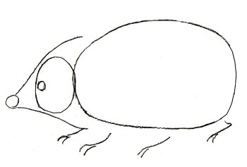 Ouriço orelhudo desenhar com um lápis. Nós desenhamos um ouriço com lápis