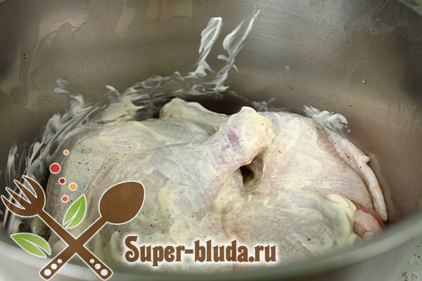 Cómo cocinar pollo asado en casa al horno. Pollo a la plancha en el horno: recetas de cocina.