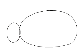 Ouriço orelhudo desenhar com um lápis. Nós desenhamos um ouriço com lápis