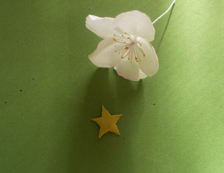 Flores espumiranas para patrones topiarios. El tulipán de espuma. Lily de foamirana.