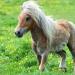 Поетапно малюємо олівцем поні з My Little Pony Найкрасивіша травень літл поні